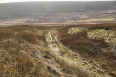 
Milfraen Colliery branch of the LNWR line to Brynmawr, Blaenavon, January 2014